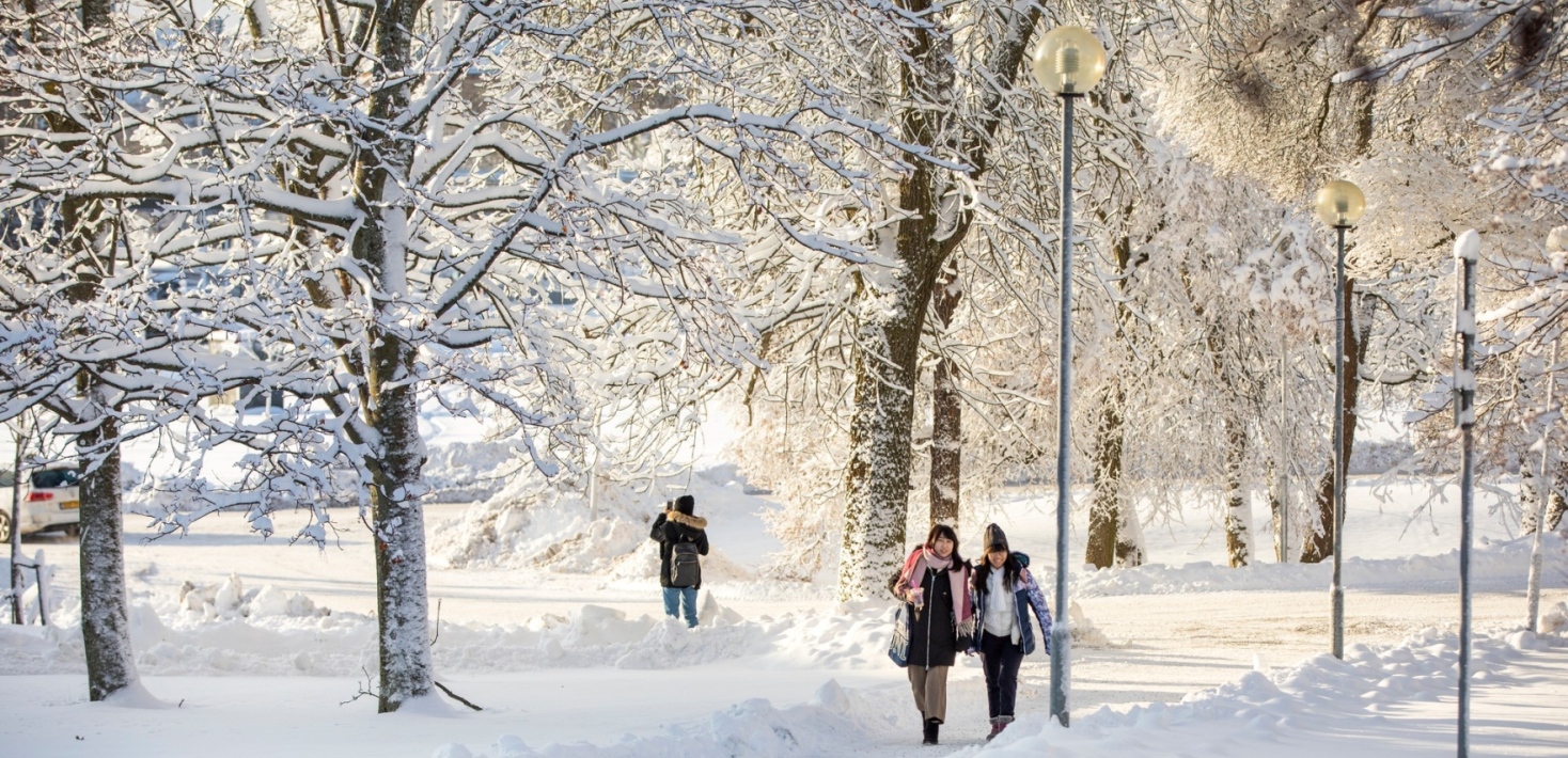 Studenter på ett snötäckt campus Frescati. Foto: Niklas Björling